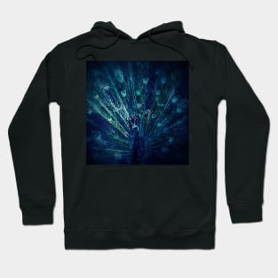 Peacock Hoodie